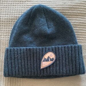 Patagonia wool blend beanie